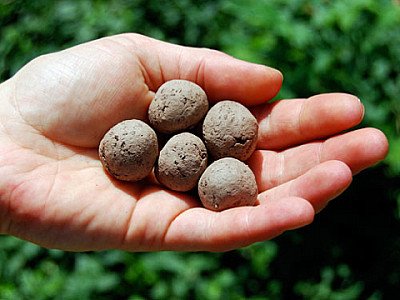 Foto van zaadbommen