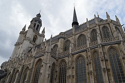 Foto van Gegidst bezoek: Basiliek Halle