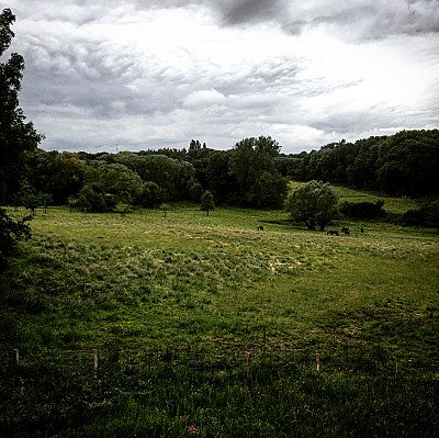 Foto van NATUURWANDELING IN DE WOLFSPUTTEN