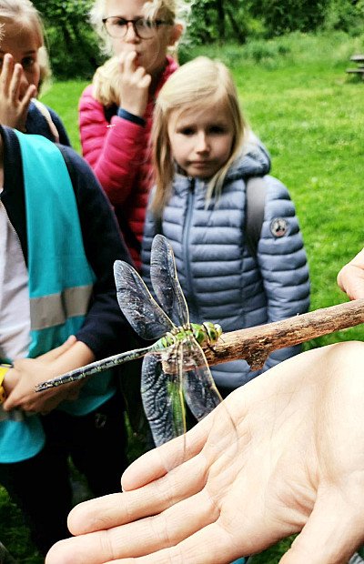 Foto van Verken het woud