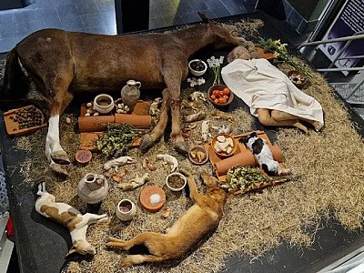 Foto van Rituelen van leven en dood